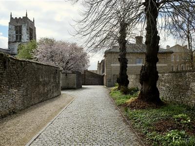 Picture 21